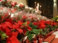 07xmas12