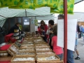 06harvest2010