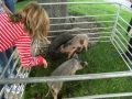 18harvest2010