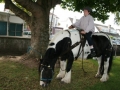 fayre1208