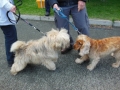2013Fayre03