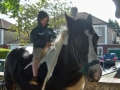 2013Fayre09
