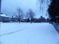 snowjan1005