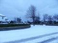 snowjan1006