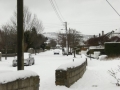 snowjan1008