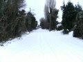 snowjan1009